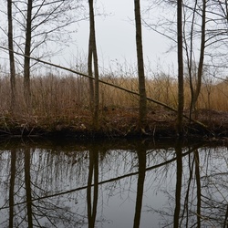 2018-04-14 Copenhagen/Utterslev Mose/DSC_0076.JPG